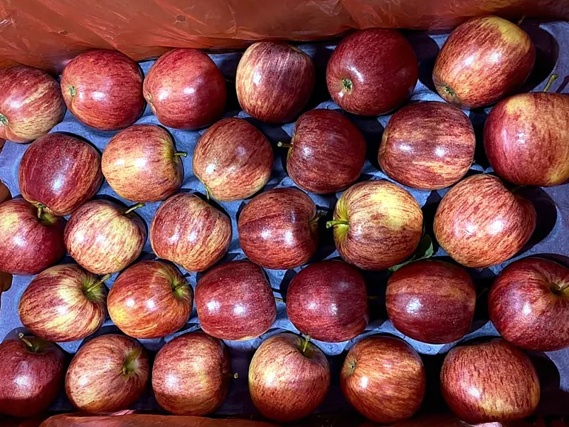 Fresh fruit