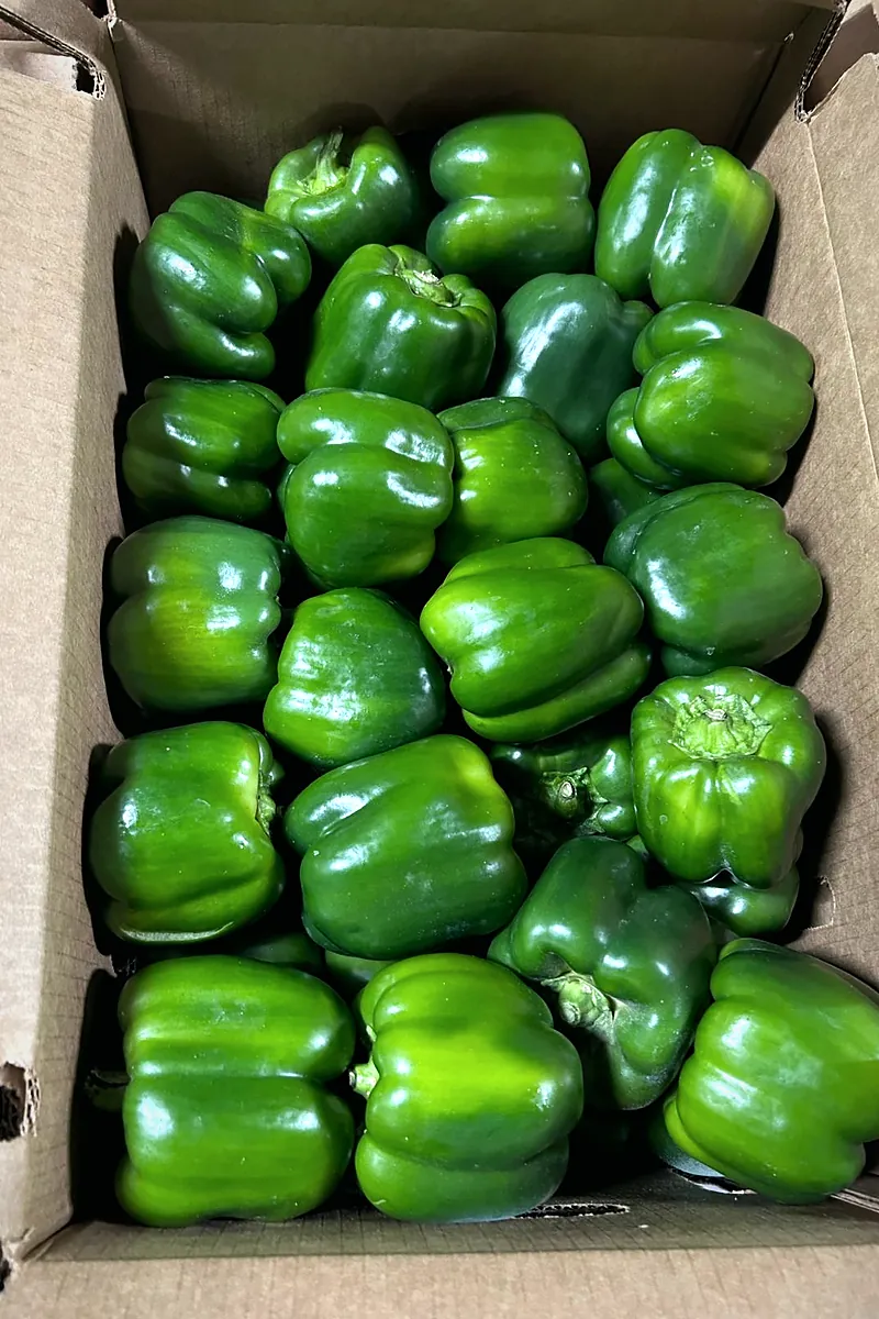 Cardboard box full of glossy green bell peppers, seen from above.