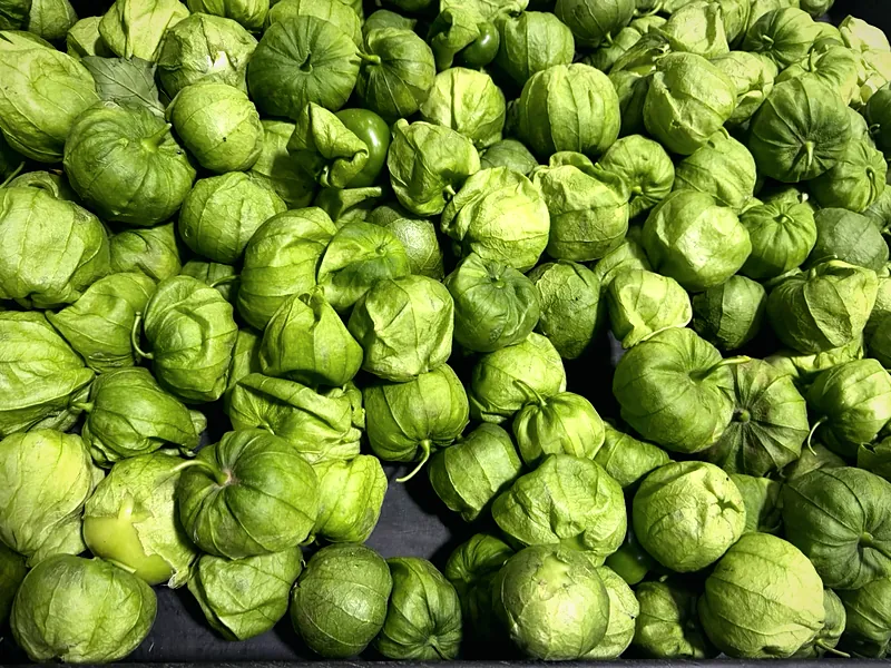Close-up of husk-on tomatillos filling a black plastic crate.